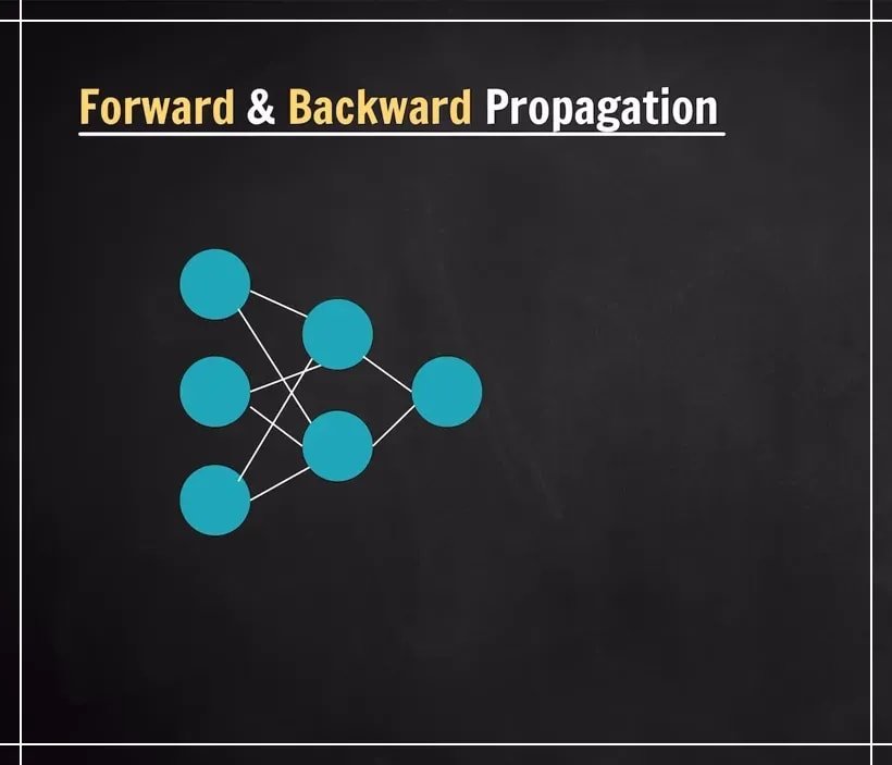 Forward and backward propagation steps during neural network training